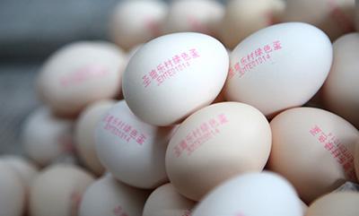 雞蛋噴碼機(jī) 雞蛋噴碼機(jī)