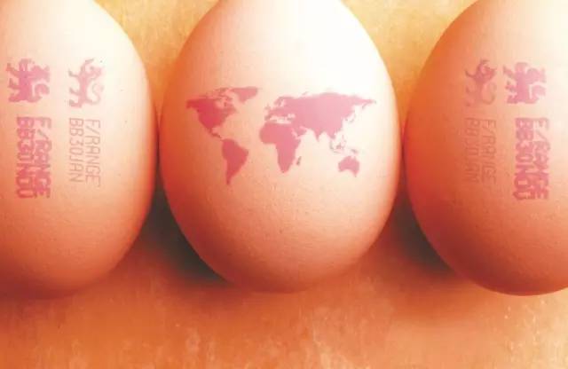 偉迪捷雞蛋噴碼機:立夏要吃蛋,你卻不懂它