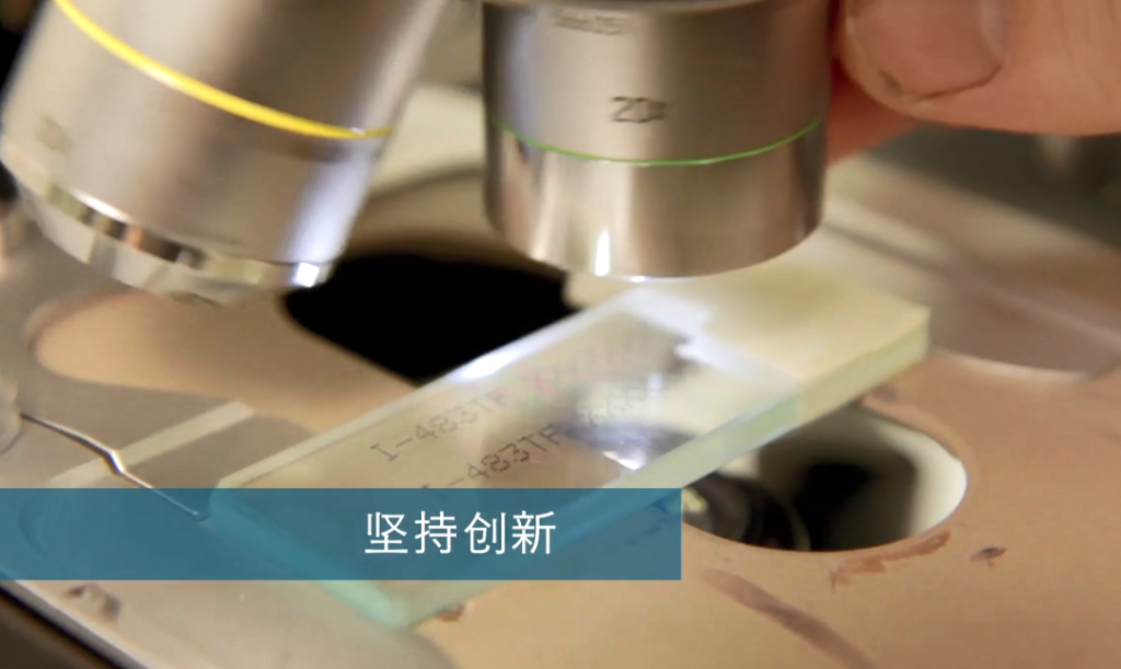 依瑪團(tuán)隊(duì),全力以赴為您提供理想的解決方案