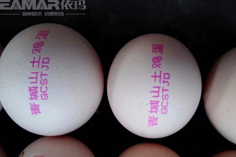 雞蛋噴碼機樣品效果