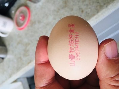 瀏覽全球網(wǎng)絡(luò)，您還能找到比這個更全面的雞蛋噴碼機解決方案嗎？