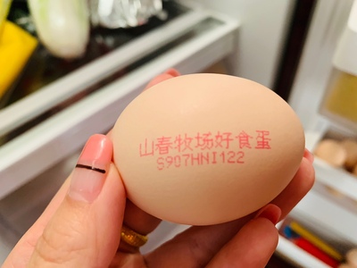 瀏覽全球網(wǎng)絡(luò)，您還能找到比這個更全面的雞蛋噴碼機解決方案嗎？